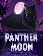 สูตรรูเล็ตq8 เทคนิคเด็ดที่ต้องลอง