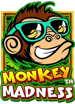 ทดลองเล่น joker cast เกมสนุกสุดมันส์ที่คุณต้องลอง